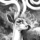 Illustration for article titled The White Stag From emShadow And Bone/em Gets A Loteria Card Tribute